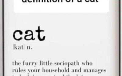 Cats are sociopaths