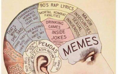 Memes on the brain