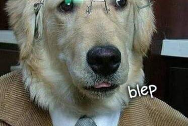 Professor Blep
