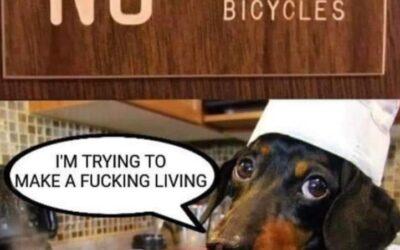 The importance of punctuation