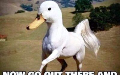 Different is beautiful