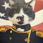 Captain Ameowica