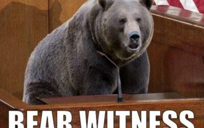 Bear witness