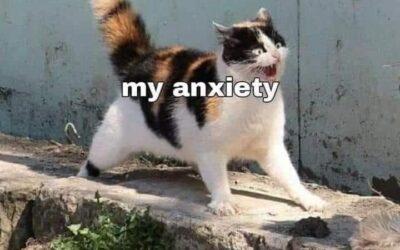 MEIRL – Anxiety