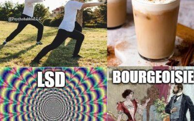 OC – educational memes