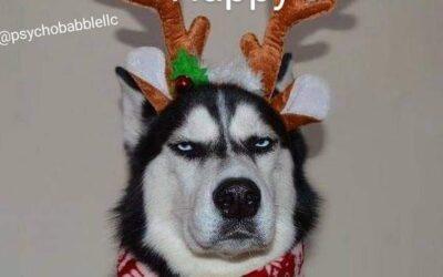 OC – happy holidays